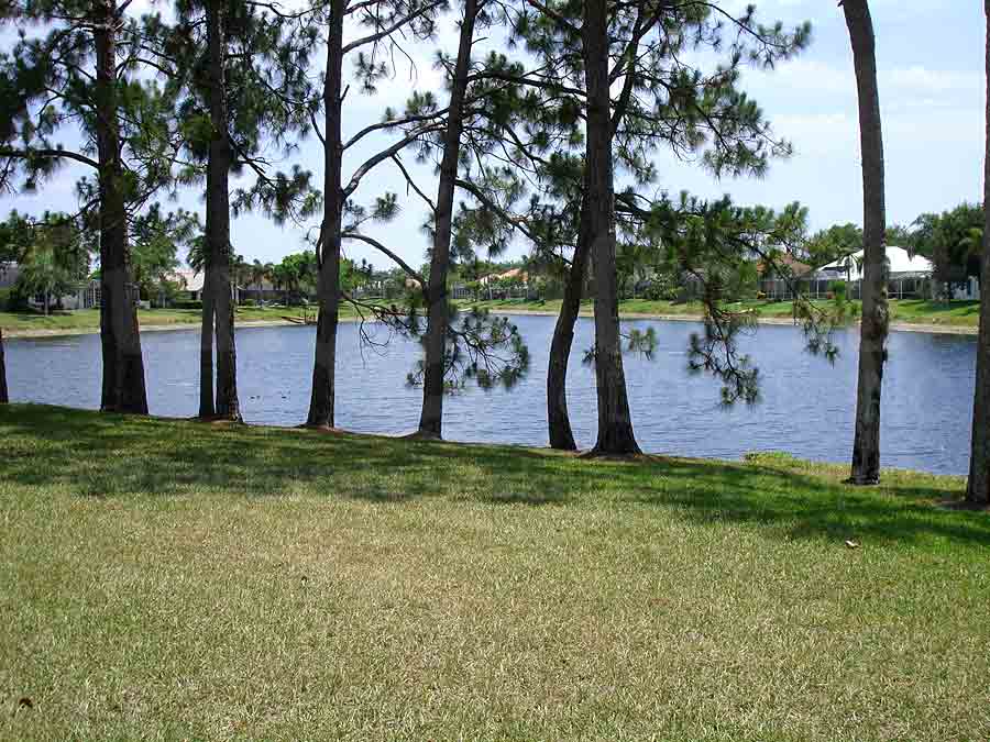 LONGSHORE LAKE View of Water